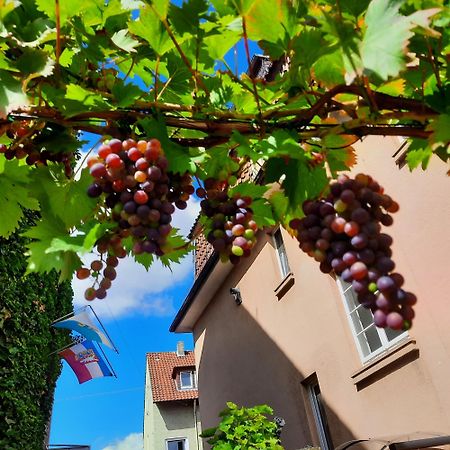 Apartament Moltkestrasse 89 Hildesheim Zewnętrze zdjęcie
